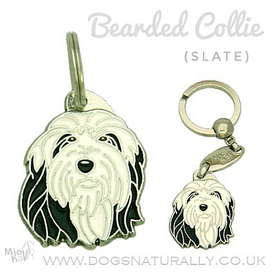 Bearded Collie Dog Tag (Slate)